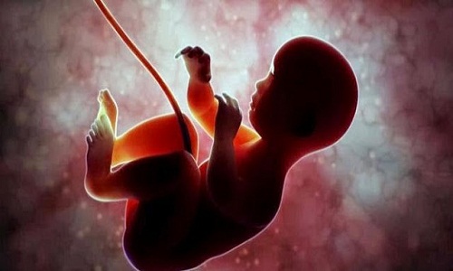 Fakta Ilmiah Keajaiban Al-Qur’an Bagi Janin Fakta Ilmiah Keajaiban Al-Qur’an Bagi Janin